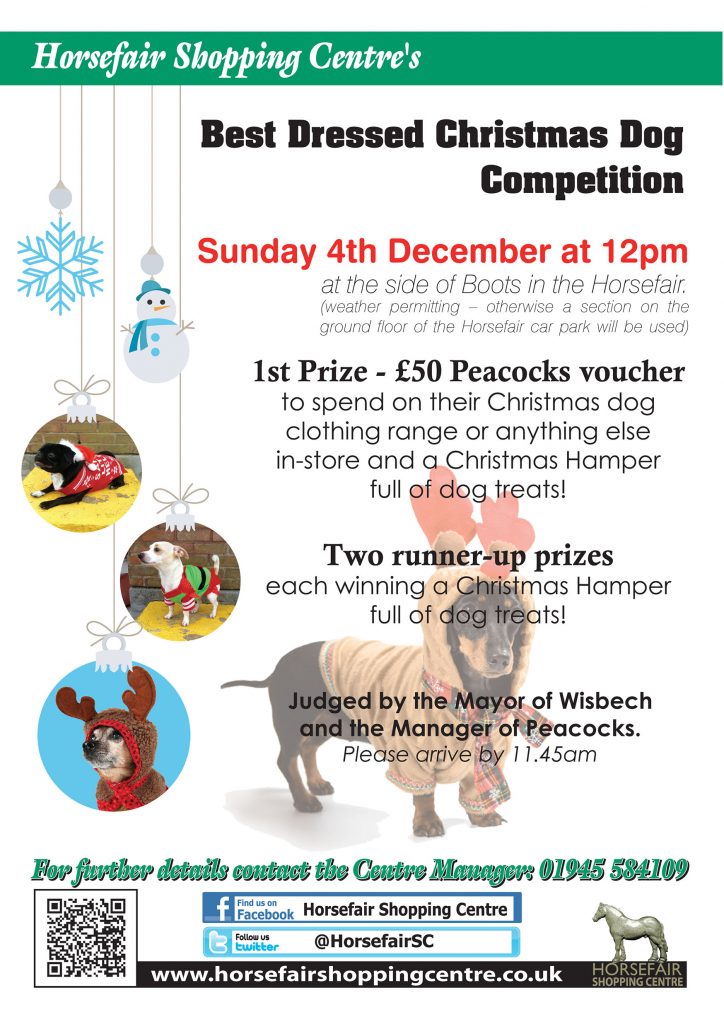 wwwchristmasdogcomp
